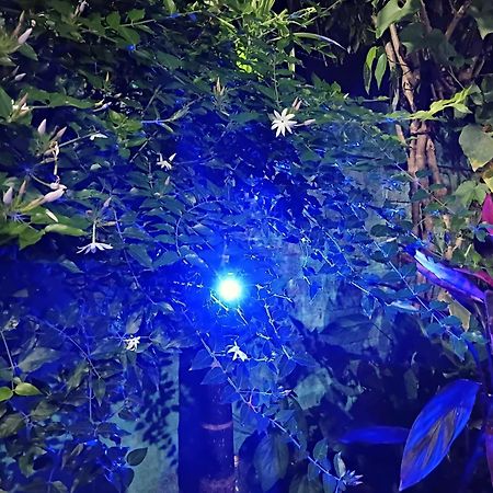 Green View Homestay Siliguri Zewnętrze zdjęcie