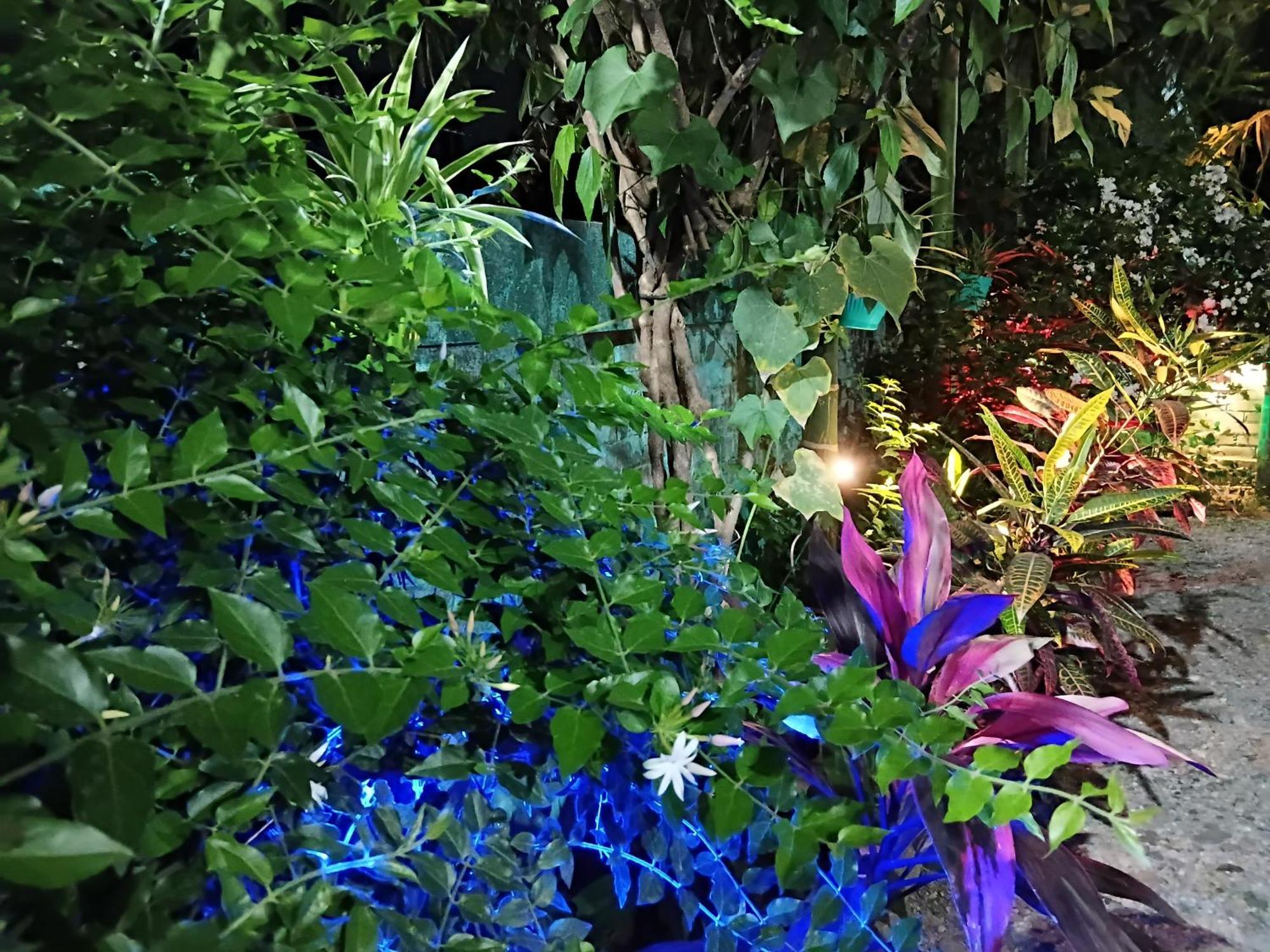 Green View Homestay Siliguri Zewnętrze zdjęcie