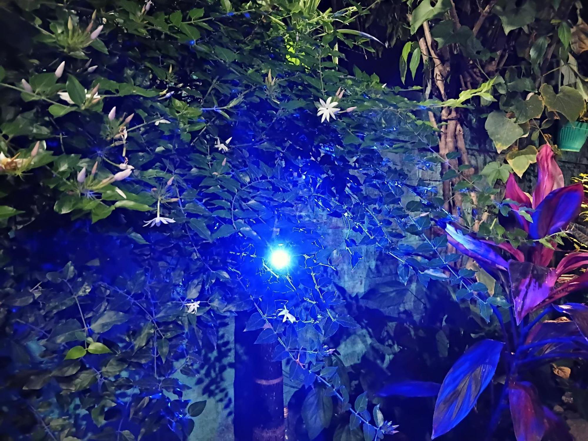 Green View Homestay Siliguri Zewnętrze zdjęcie
